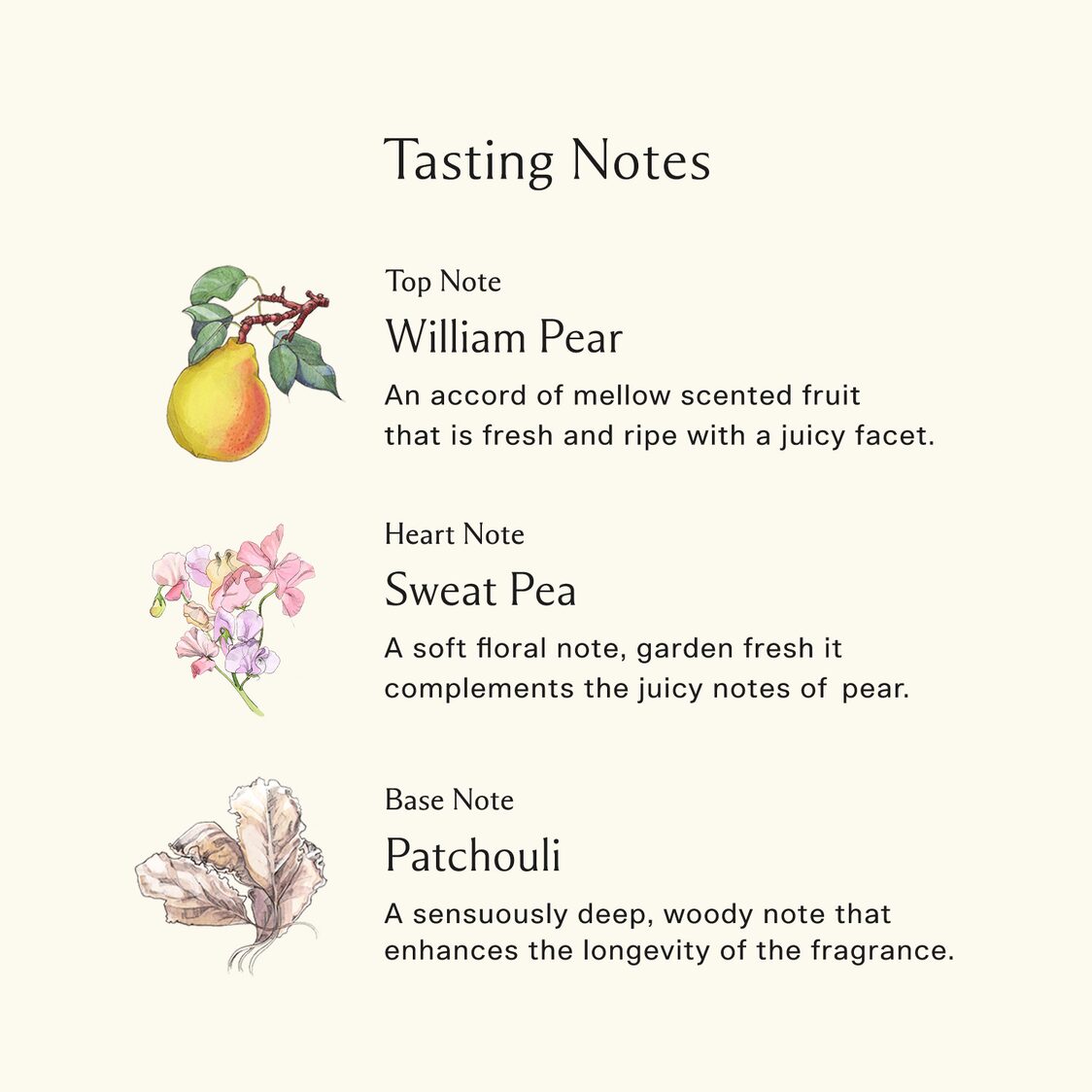 Jo Malone London English Pear & Sweet Pea Cologne