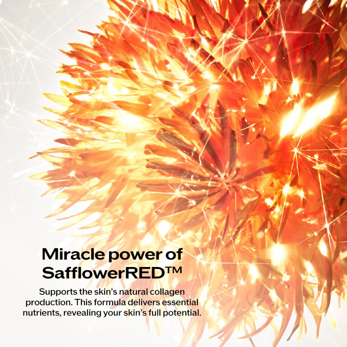 Shiseido Vital Perfection Uplifting and Firming Advanced Cream 50ml