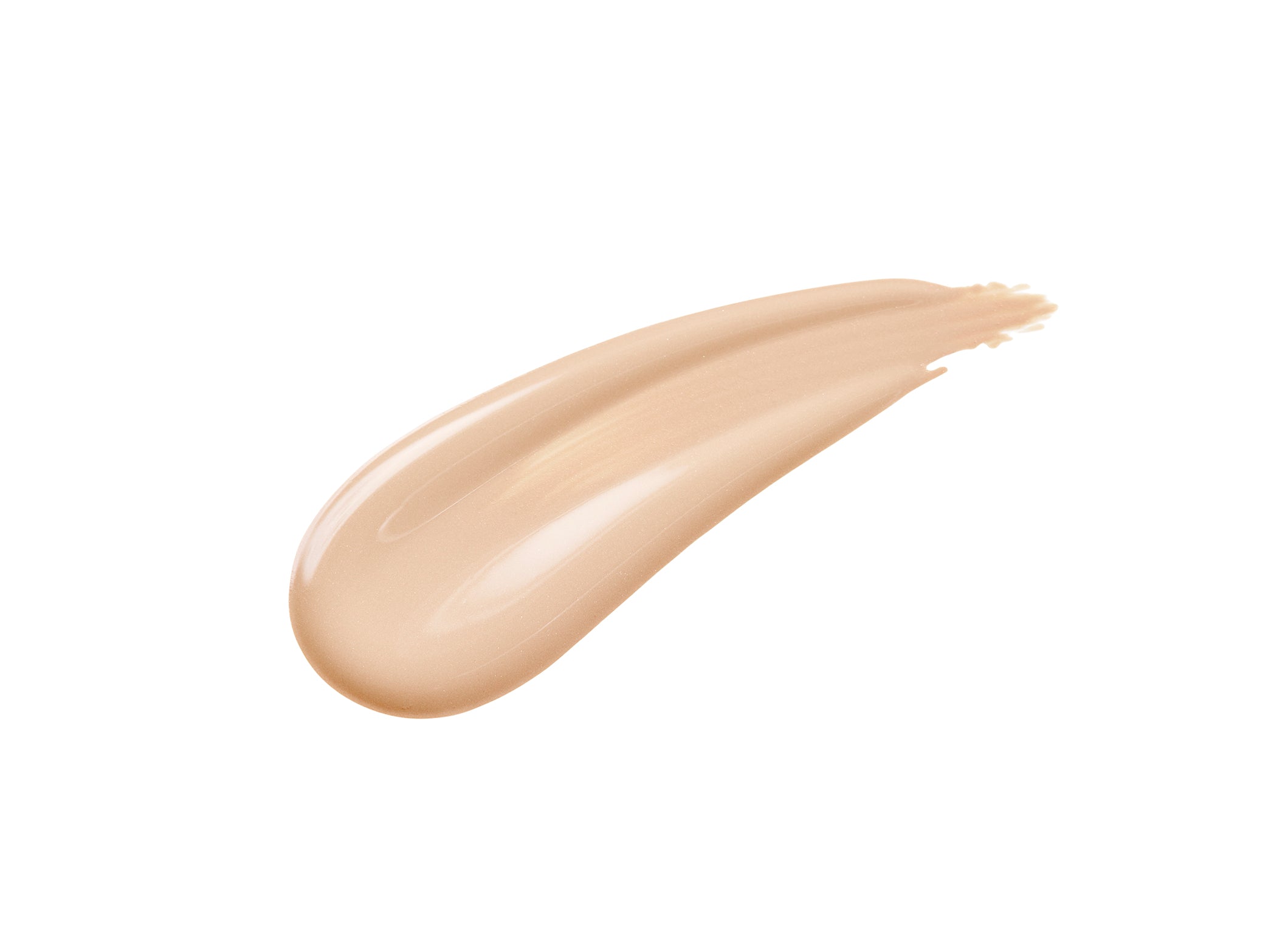 Shiseido Future Solution Total Radiance Foundation E, R2