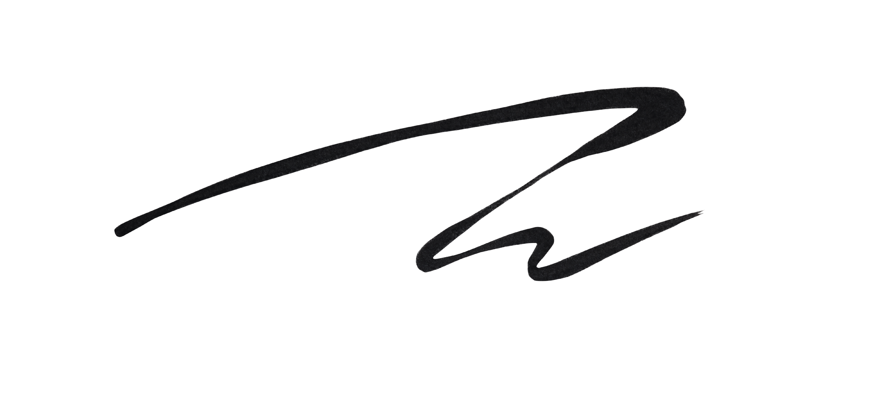 Shu Uemura Calligraph:Ink Cartridge