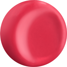 Kosé ESPRIQUE Prime Tint Rouge