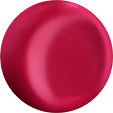 Kosé ESPRIQUE Prime Tint Rouge