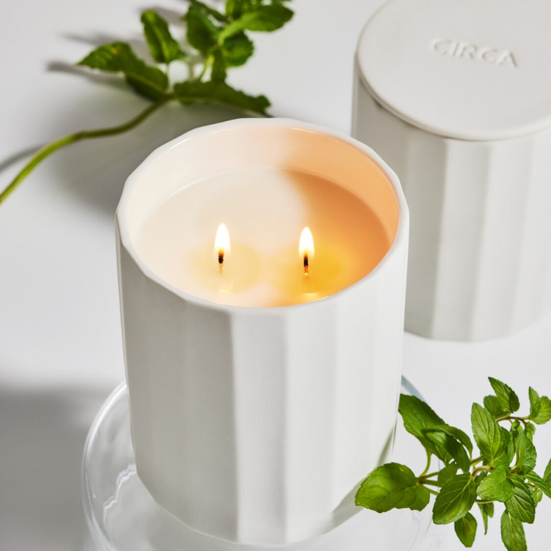 Circa Soy Candle 350g - White Tea & Wild Mint (Alchemy)