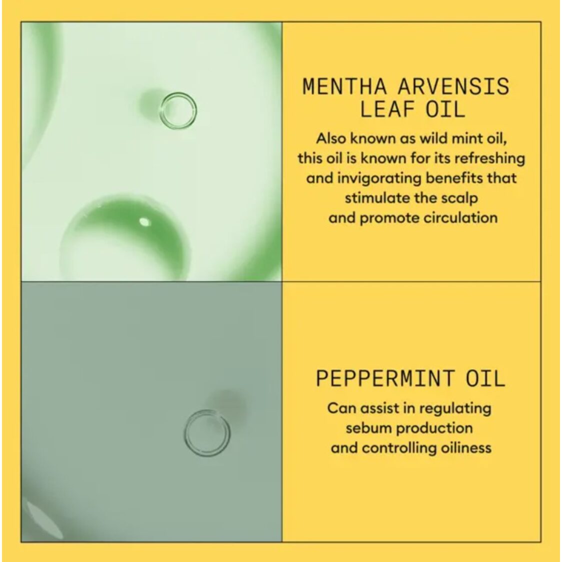 Nioxin System 1 Shampoo and Conditioner Bundle 1000ml