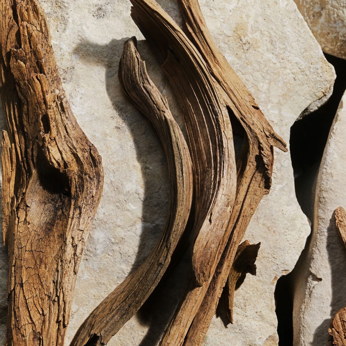 Dolce&Gabbana Light Blue EDT