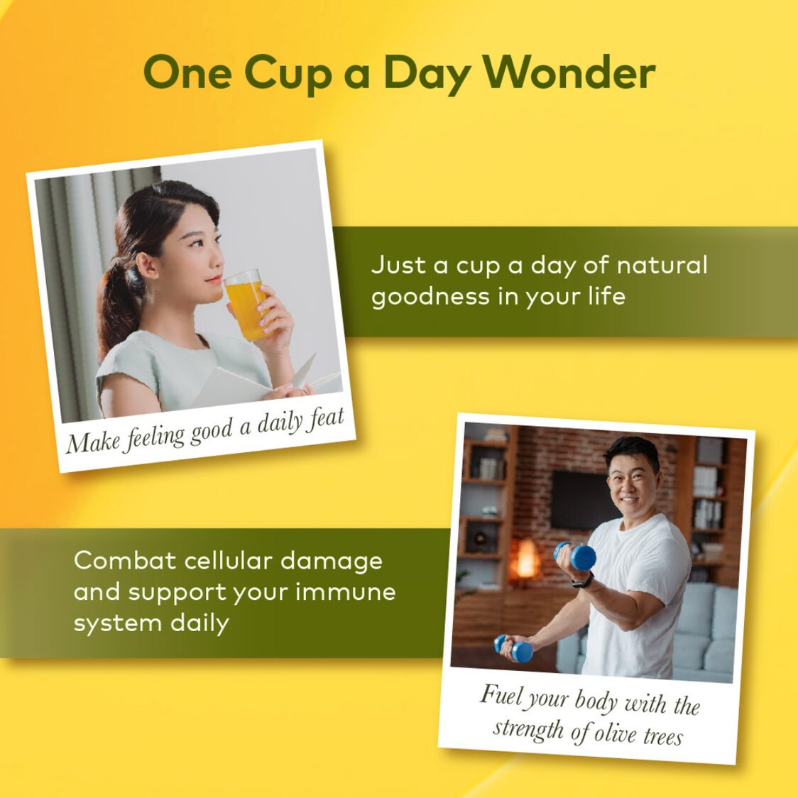 Comvita Olive Leaf Extract - Peppermint Flavour 500ml