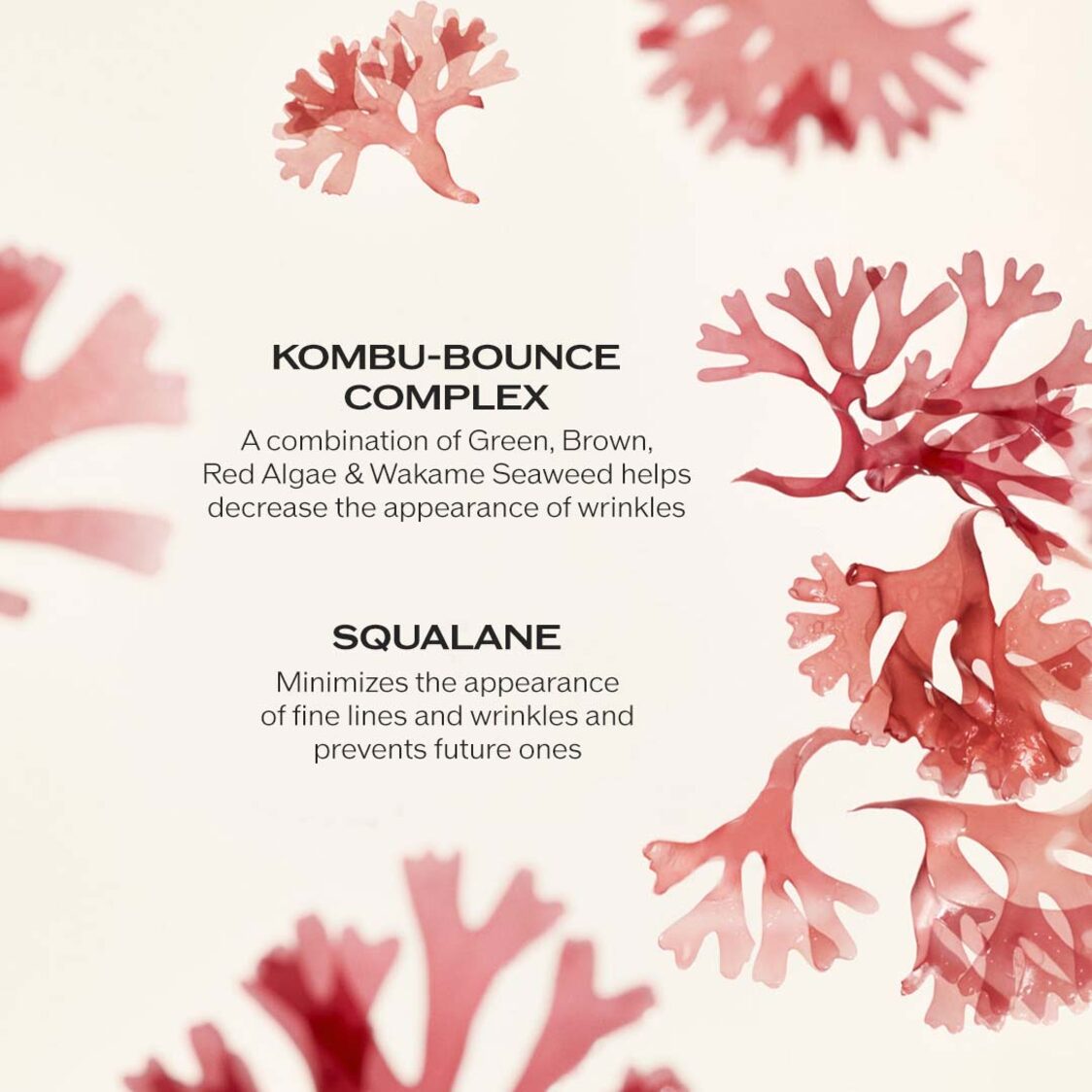 Shiseido Benefiance Wrinkle Smoothing Cream Enriched 75ml