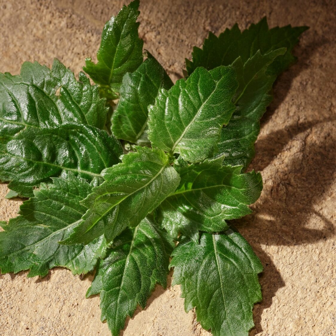 Dolce&Gabbana Devotion For Men EDP