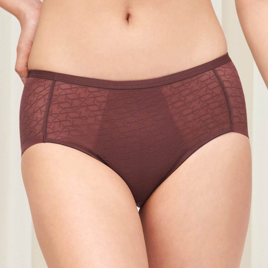 Triumph Signature Sheer Hipster Decadent Chocolate