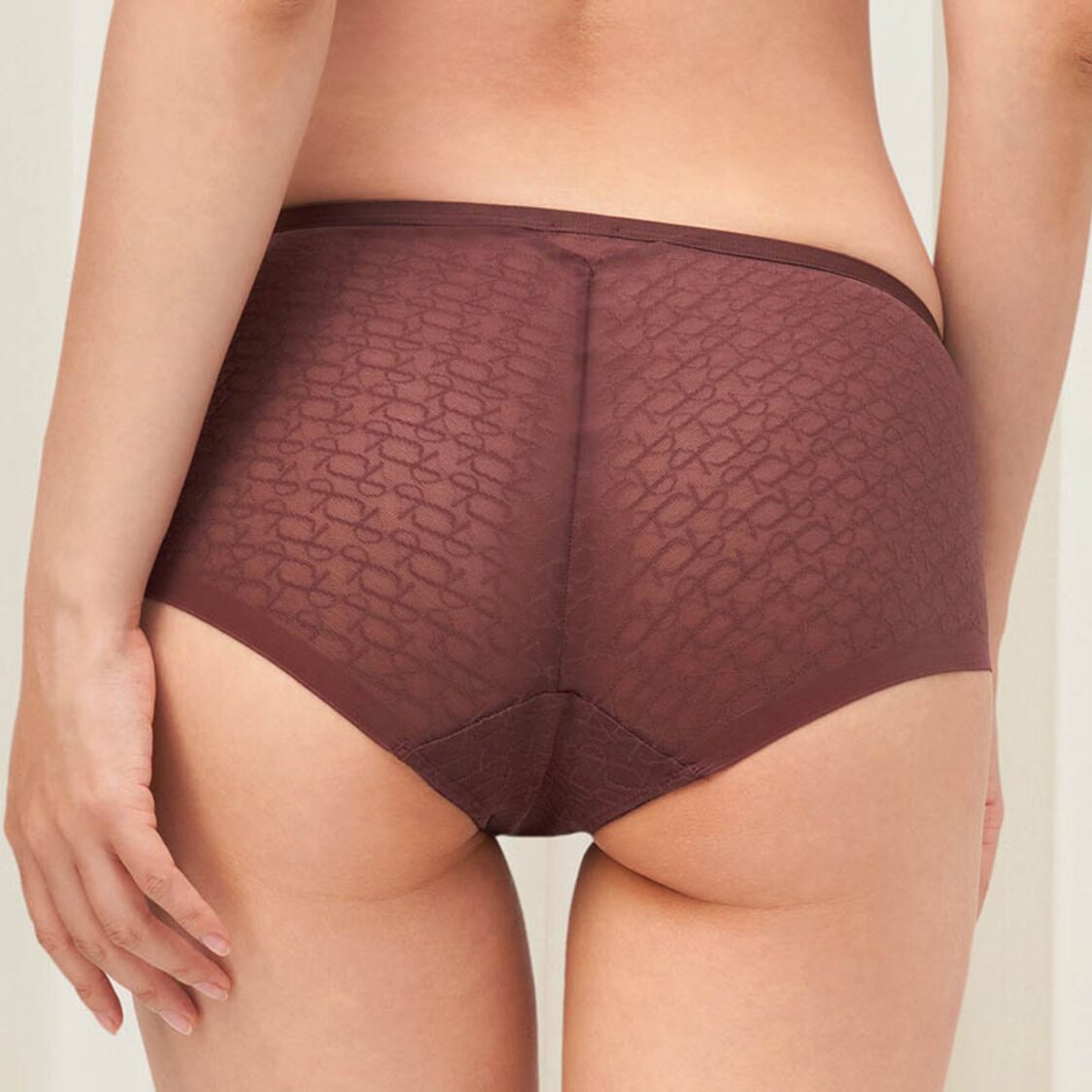 Triumph Signature Sheer Hipster Decadent Chocolate