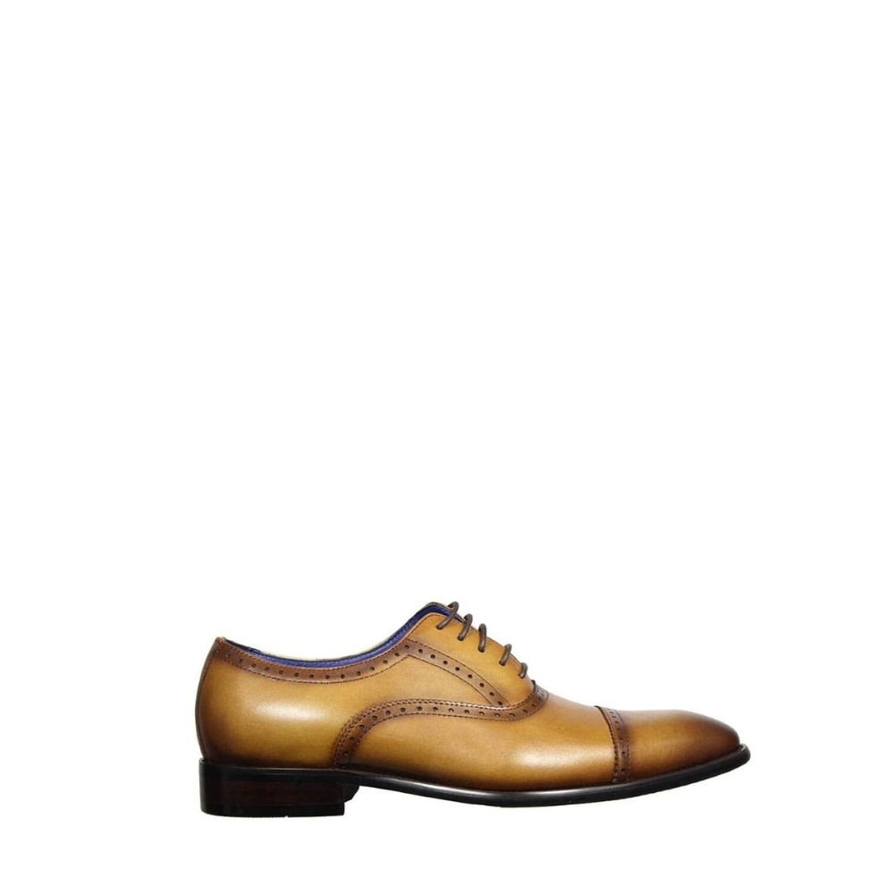 Frank Williams Men's Lace-Up L22-617 Brown