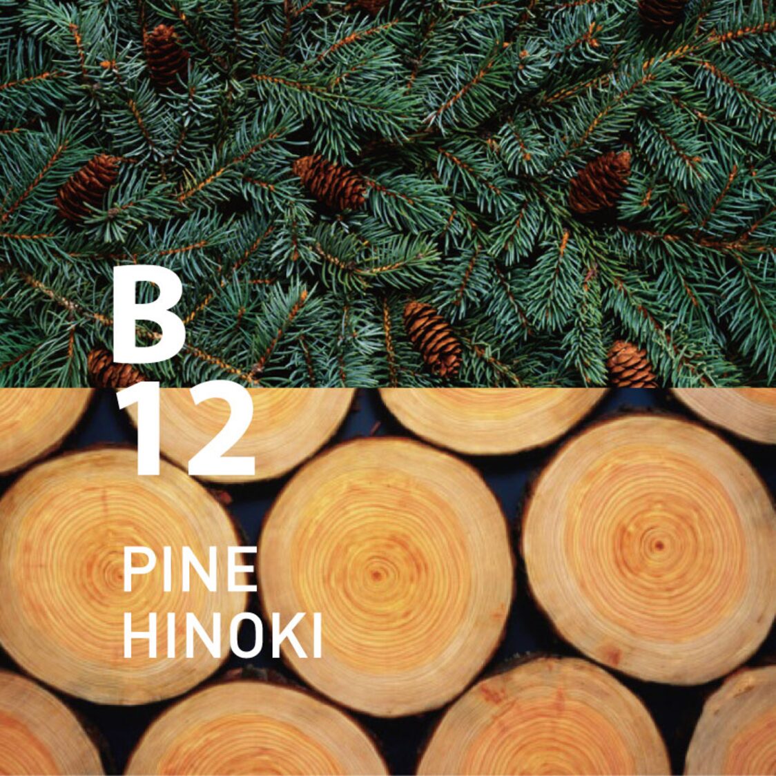 Ataroma B12 Pine Hinoki 10ml
