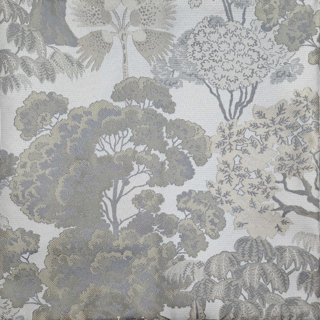 J.Rapee Adonis Cover