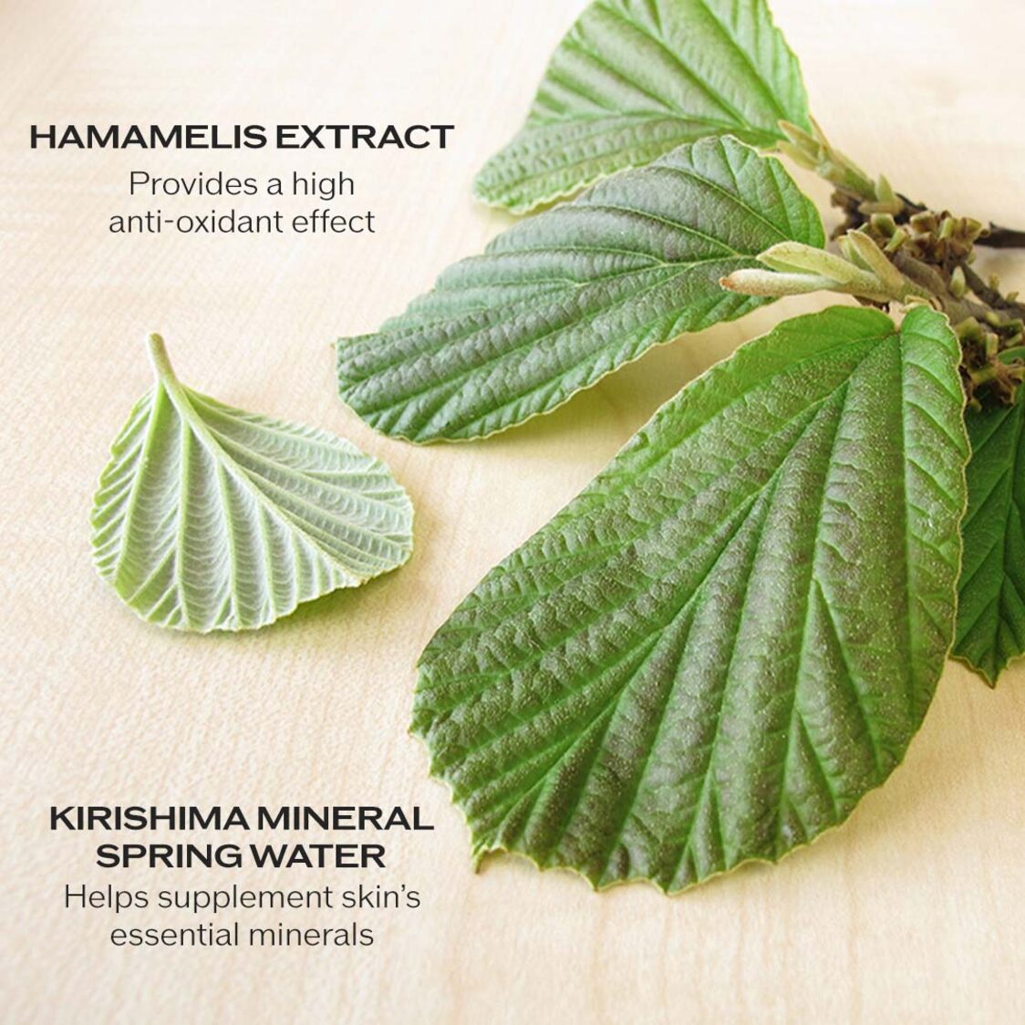 Shiseido Treatment Softener Enriched 150ml