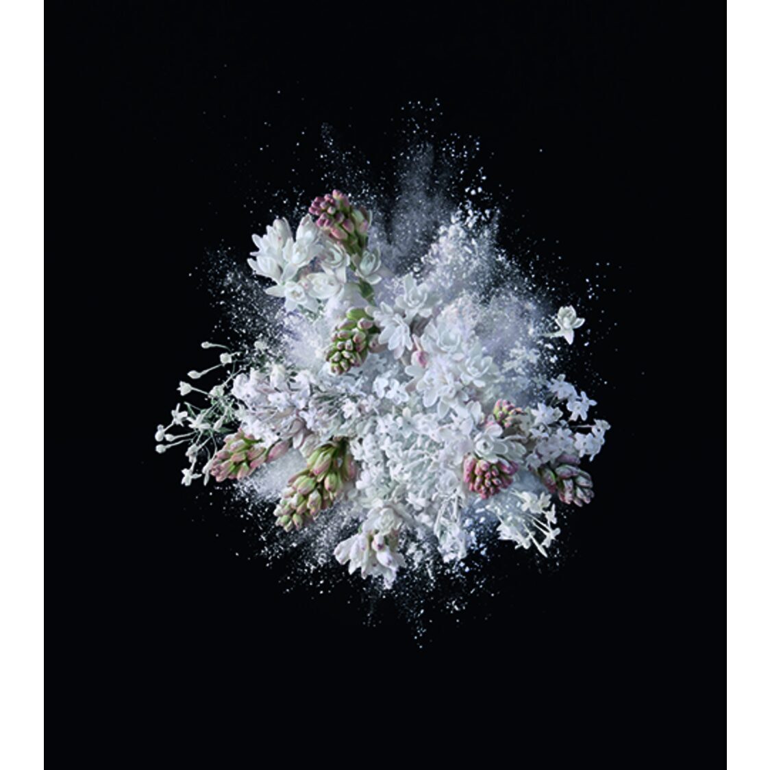 Carolina Herrera Goodgirl EDP