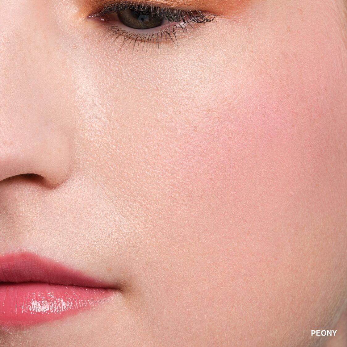 Bobbi Brown Pot Rouge Velvet Matte