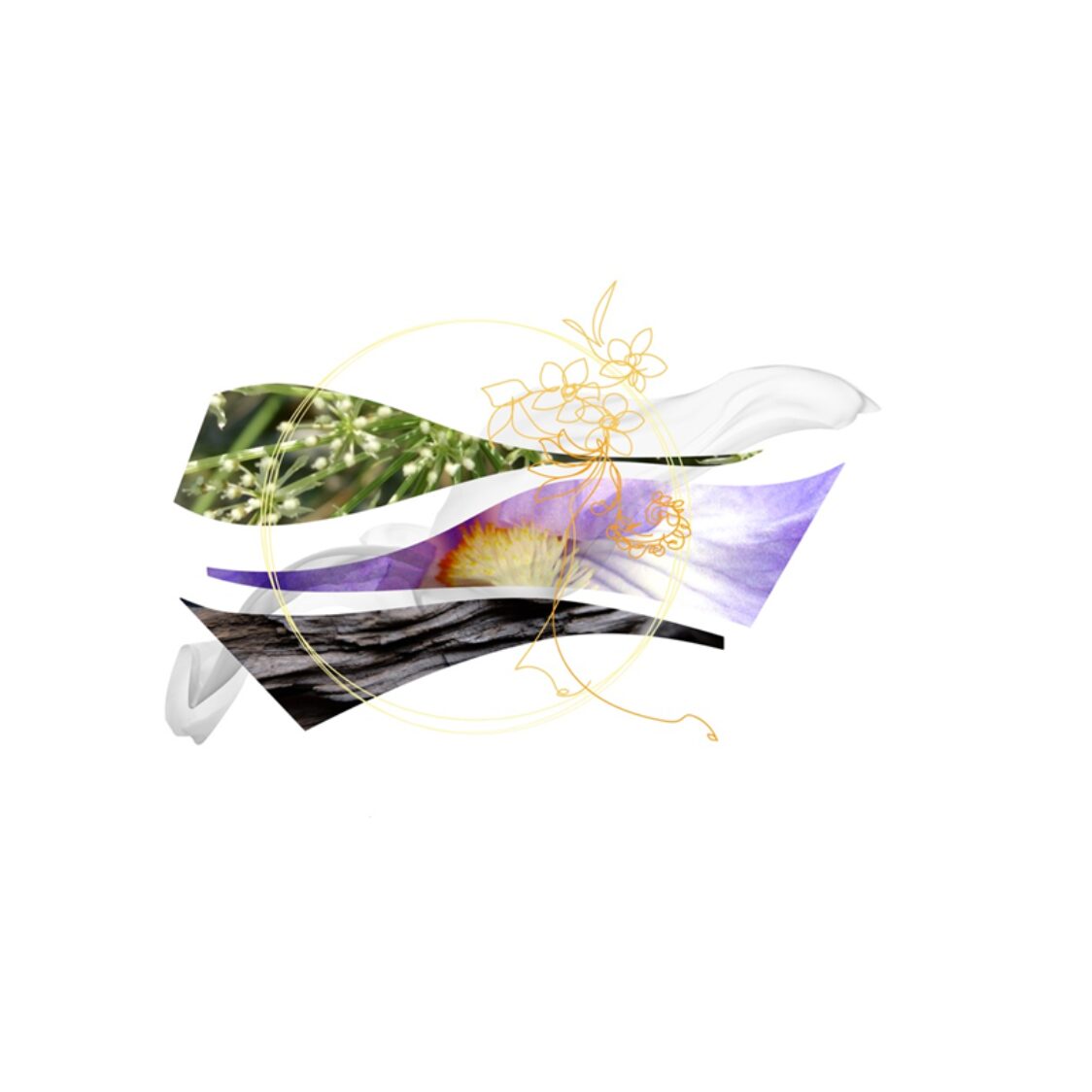 Ferragamo Savane Di Seta EDP 100ml