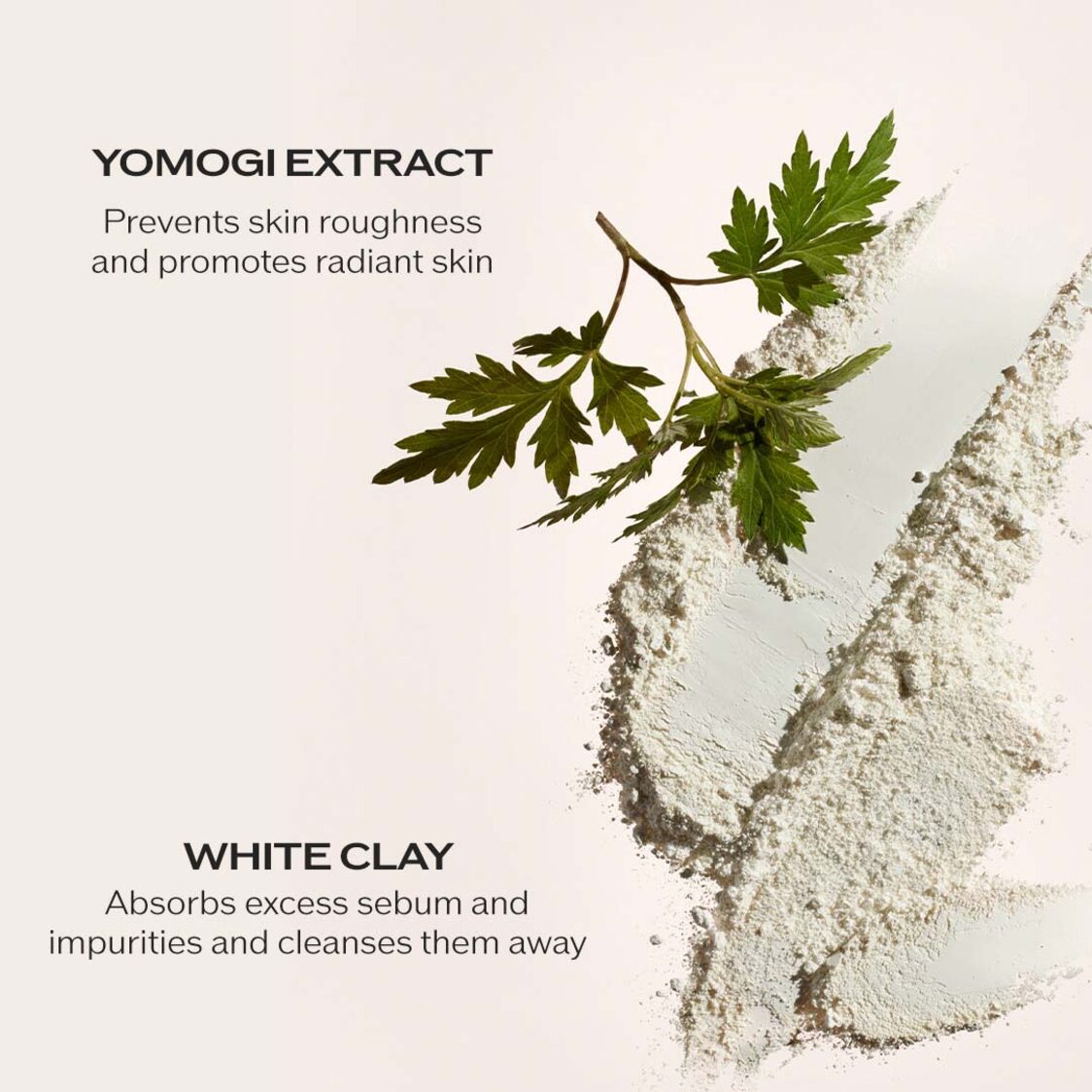 Shiseido Clarifying Cleansing Foam 125ml