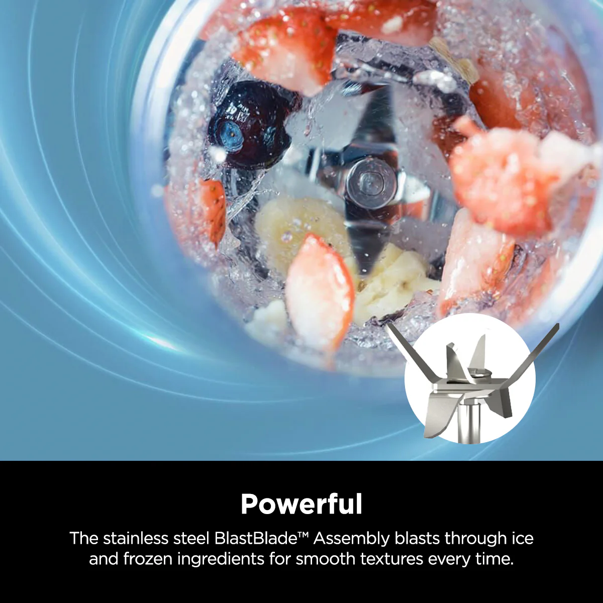 Ninja Blast™ Portable Blender, 18-oz (BC151)