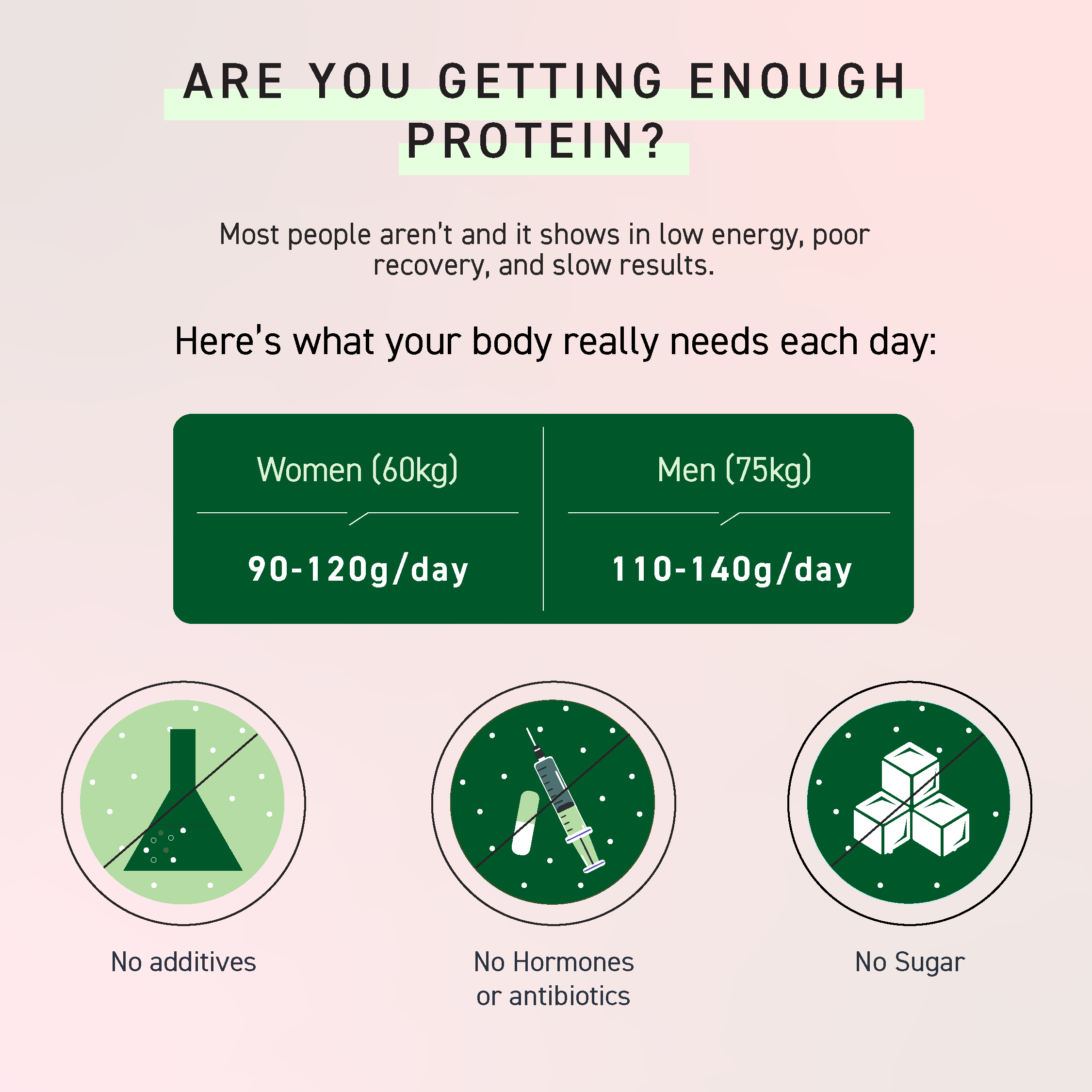Beme Meister Kale & Grass-Fed Milk Protein