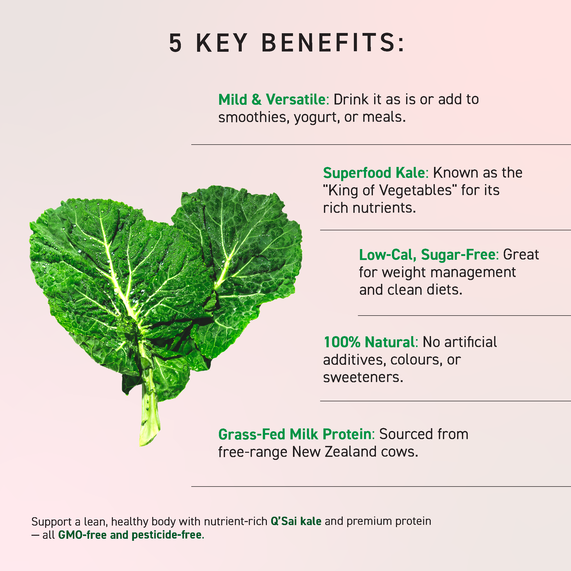 Beme Meister Kale & Grass-Fed Milk Protein