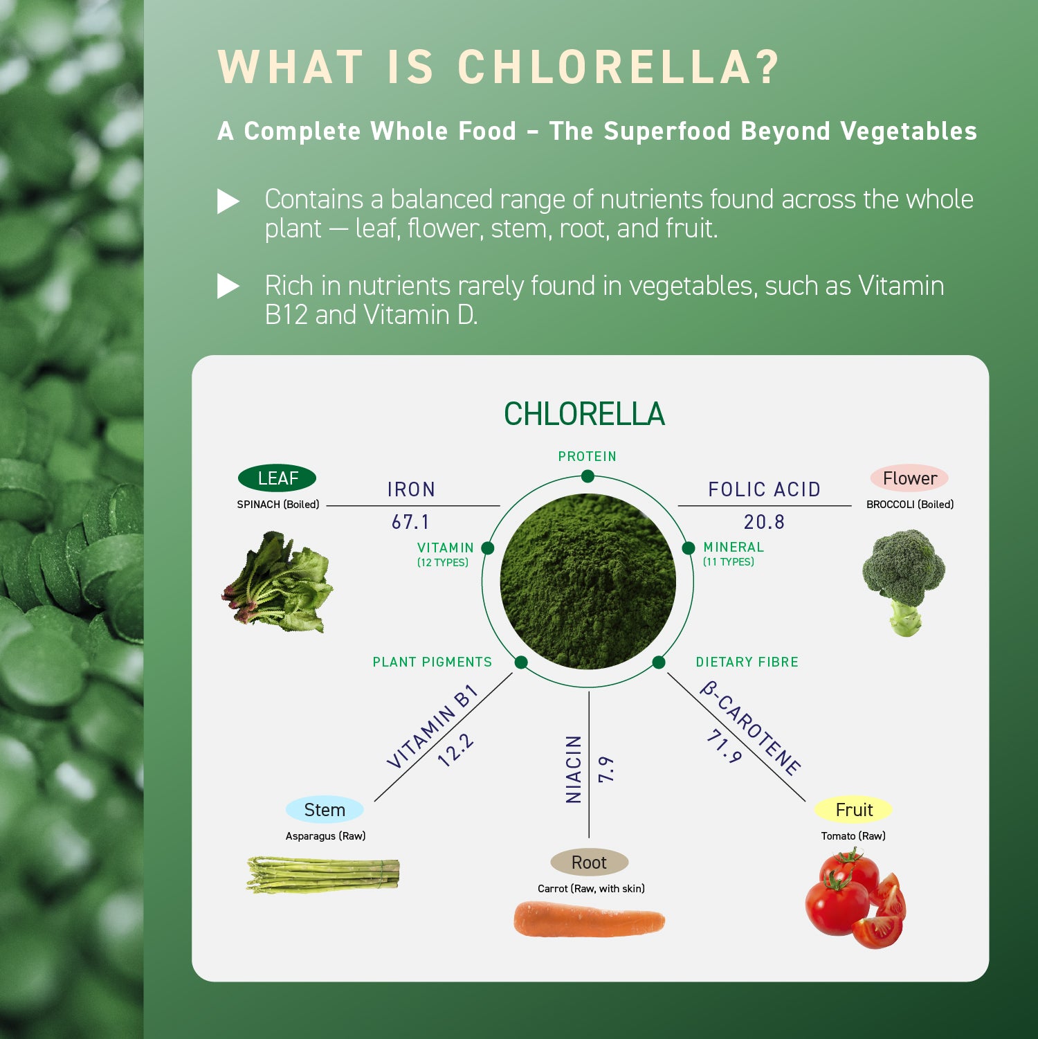 Chlorella Theory (1-pack)
