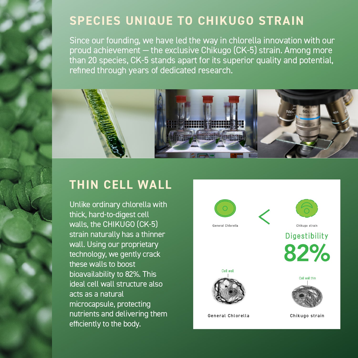 Chlorella Theory (1-pack)