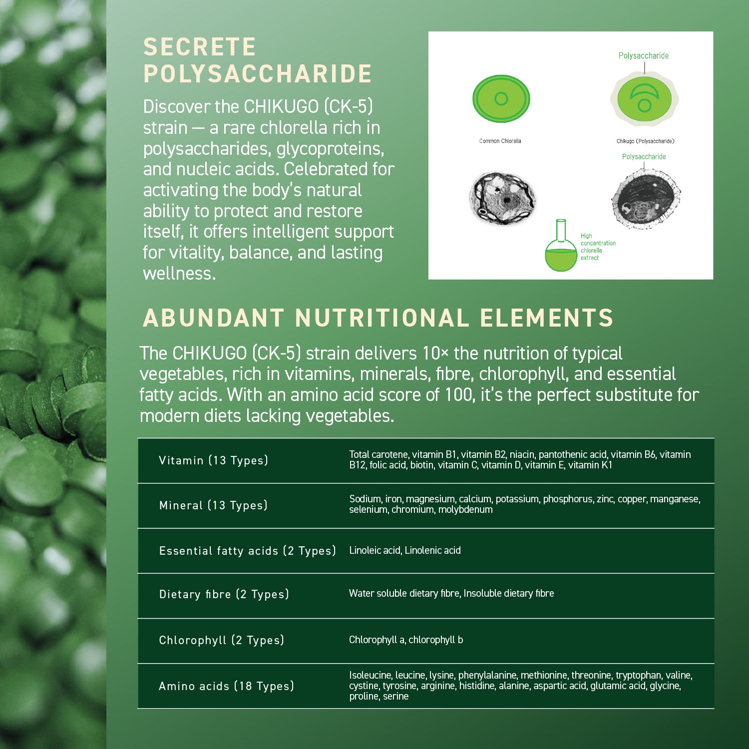 Chlorella Theory (1-pack)