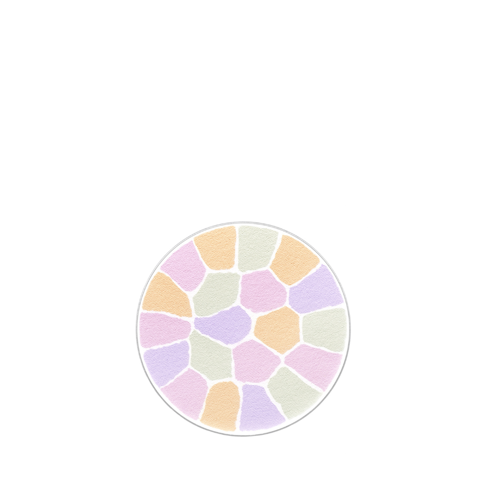 ALBION Elegance La Poudre Haute Nuance Luxueuse 27g