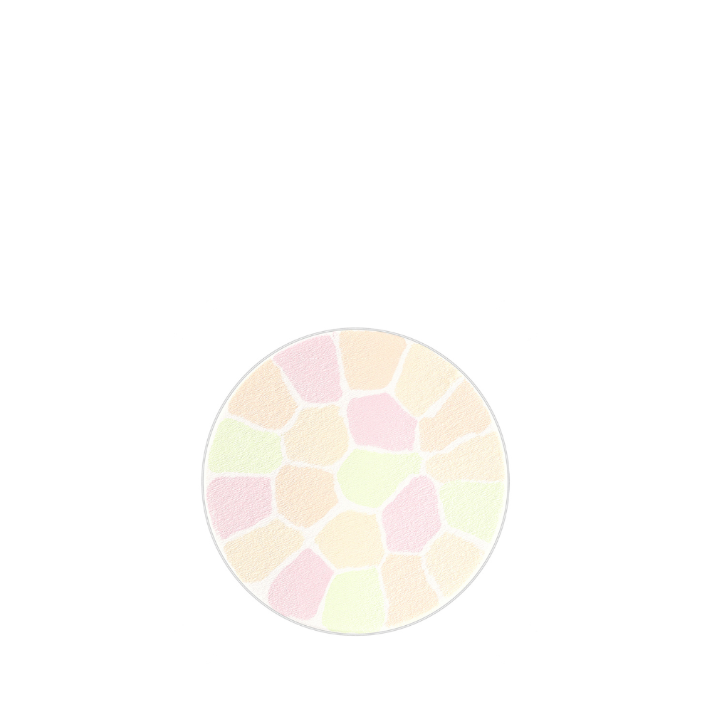 ALBION Elegance La Poudre Haute Nuance Luxueuse 27g