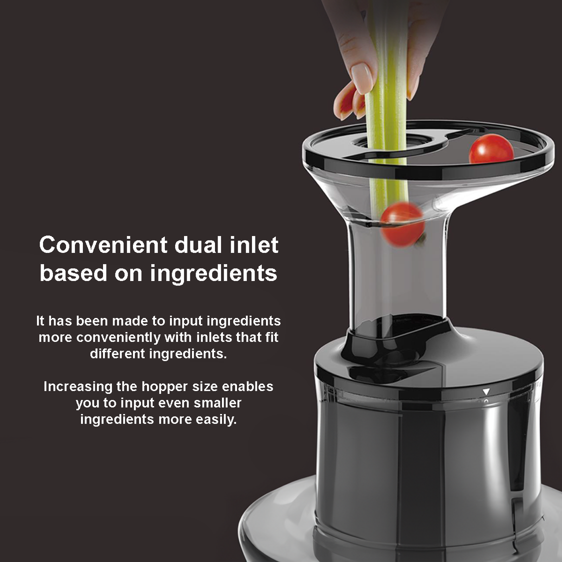 Hurom Slow Juicer Deep Wine Hs-1300DW