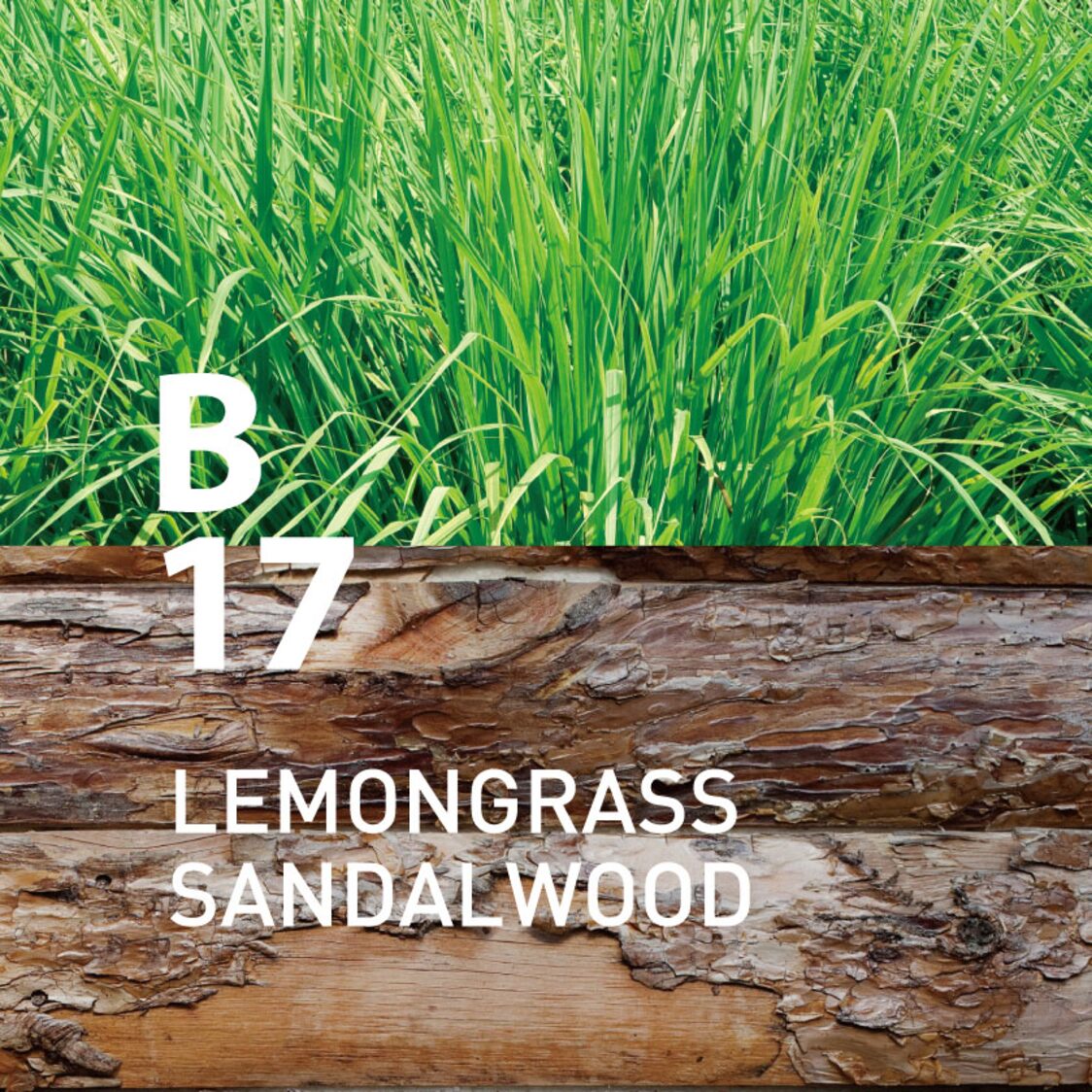 Ataroma B17 Lemongrass Sandalwood 10ml