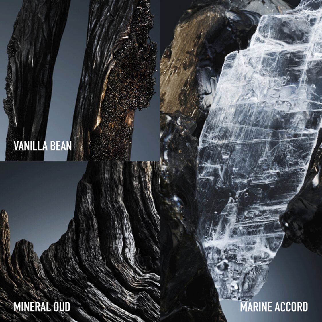 Rabanne Phantom Elixir Parfum Intense 100ml