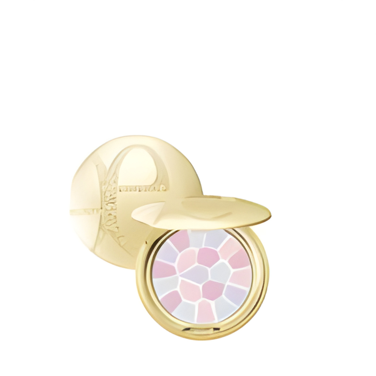 Albion Elegance La Poudre Haute Nuance 8.8g 08