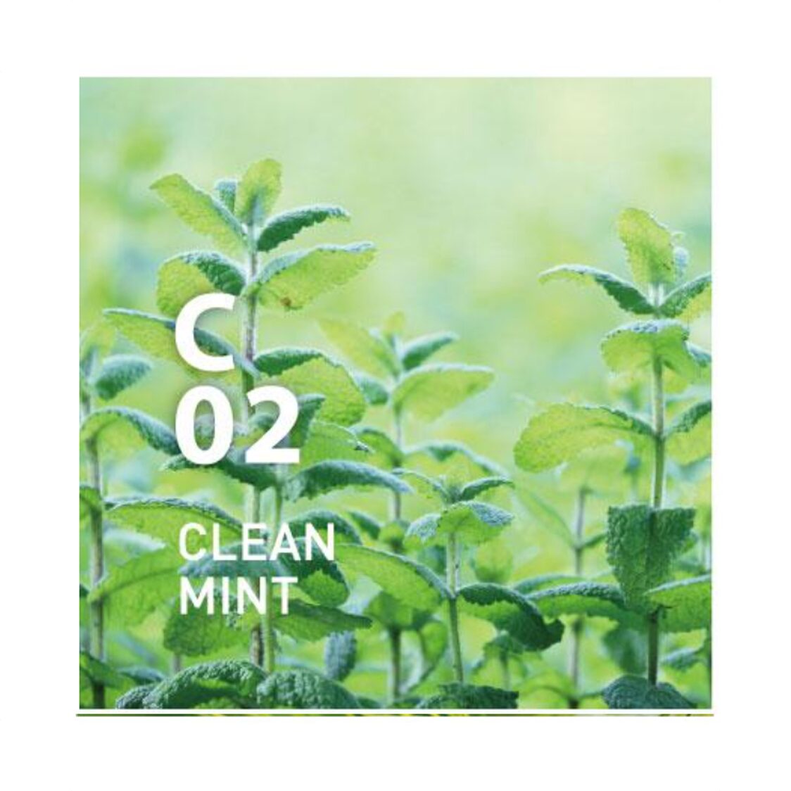 Ataroma C02 Clean Mint 10ml - Metro Singapore Departmental Store - Celebrating 69 Years in SG