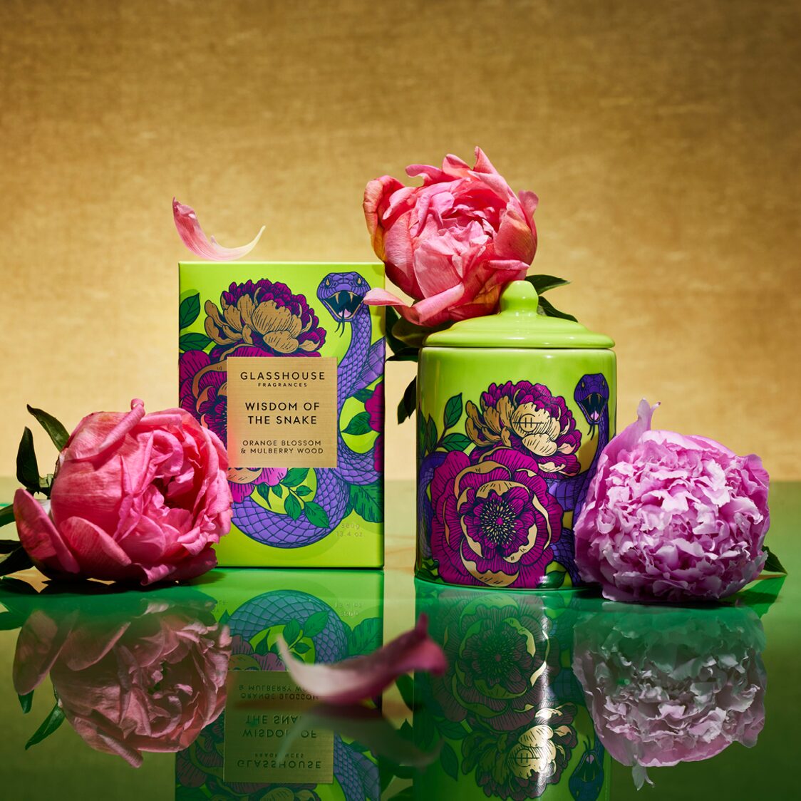 Glasshouse Soy Candle 380g | Wisdom of the Snake (Limited Edition)