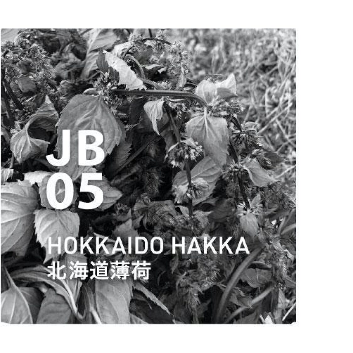 Ataroma JB05 Hokkaido Hakka 10ml