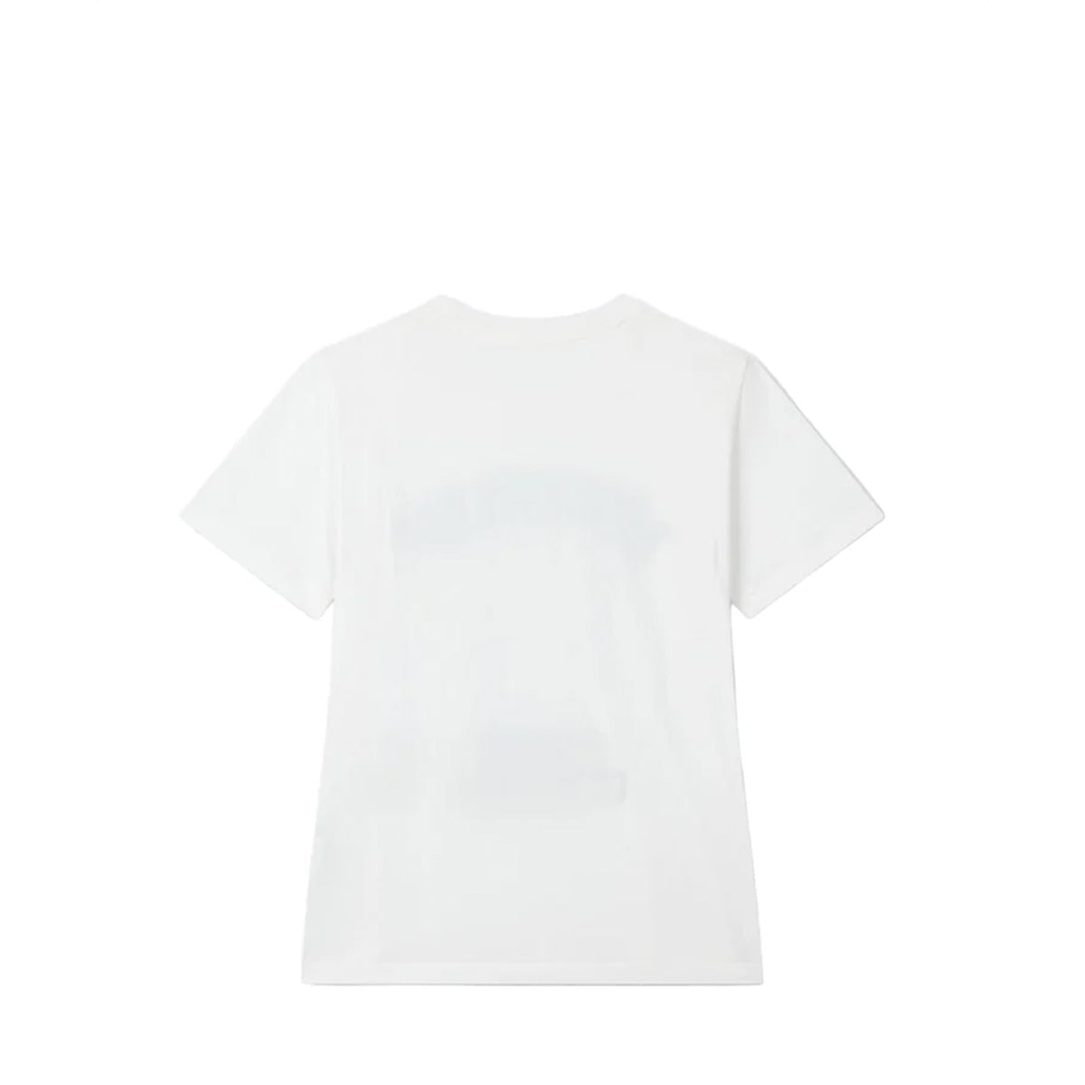 Voice Of Voices Print Crewneck Tshirt