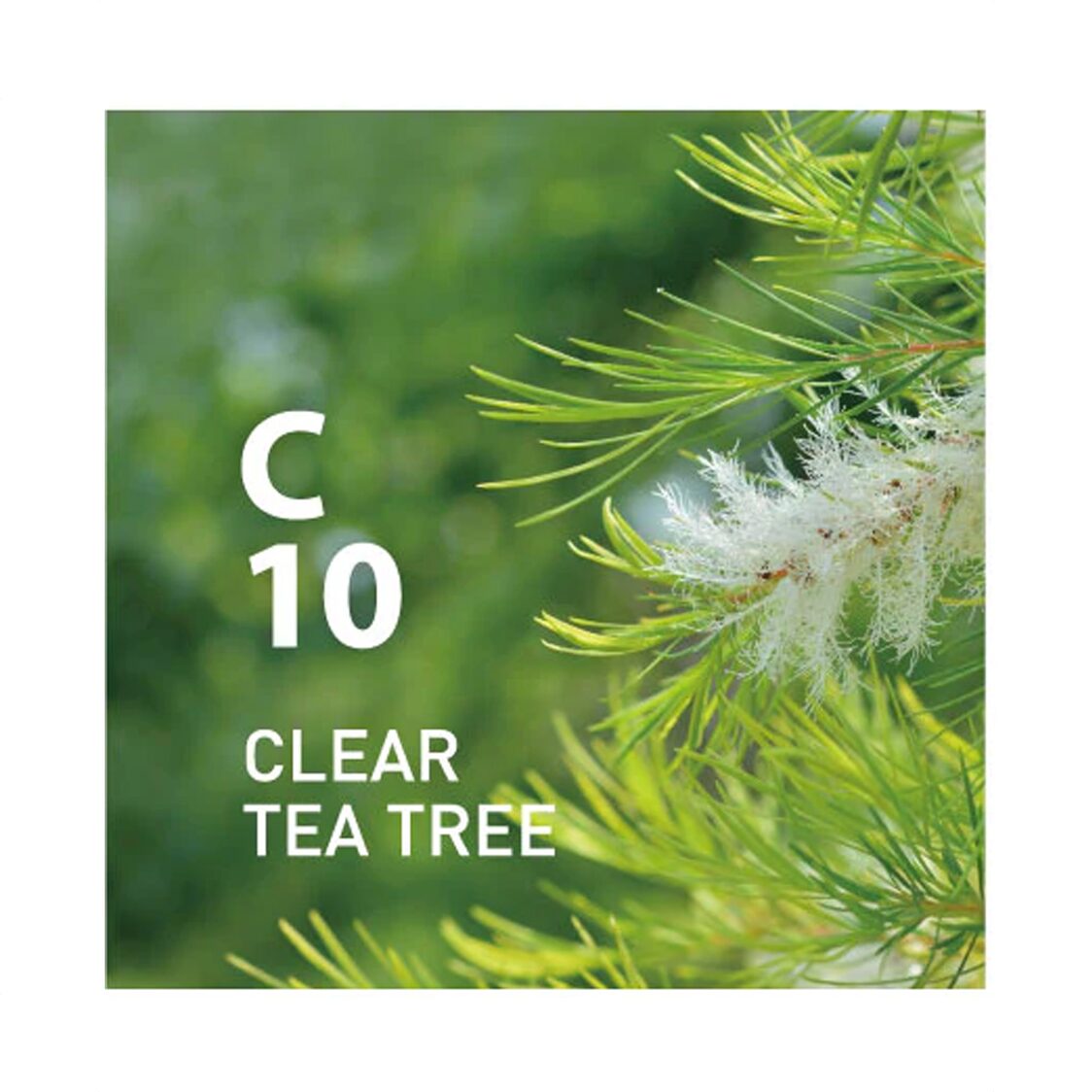 Ataroma C10 Clear Tea Tree 10ml