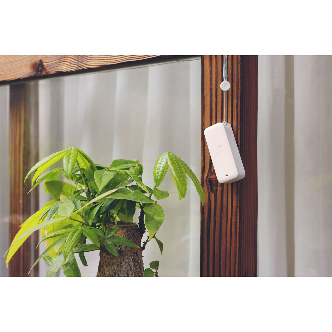 SwitchBot Indoor/Outdoor Thermo-Hygrometer