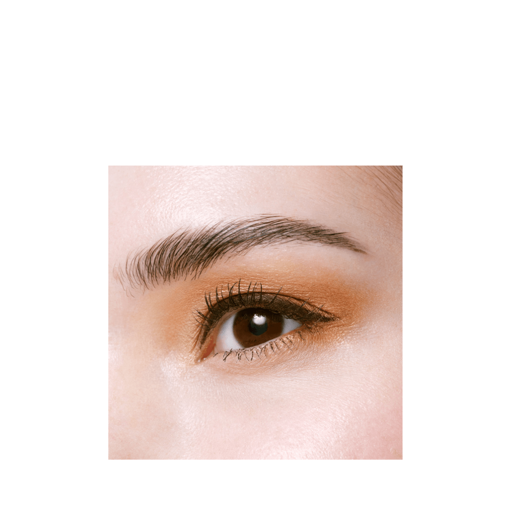 Clé de Peau Beauté Eye Color Quad 502 (Limited-Edition) - Metro Singapore Departmental Store - Celebrating 69 Years in SG