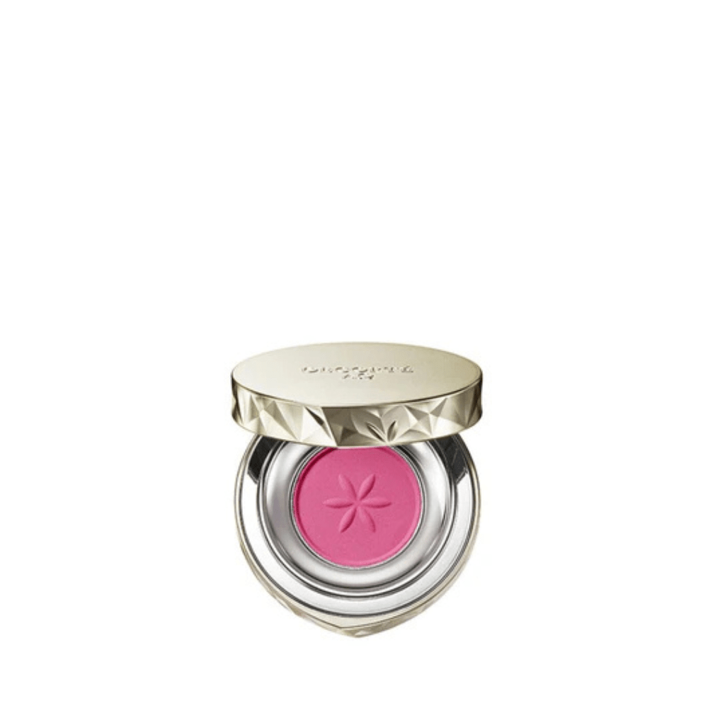 Decorté AQ Eye Shadow - Metro Singapore Departmental Store - Celebrating 69 Years in SG