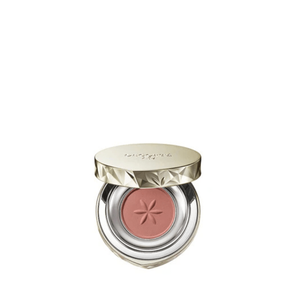 Decorté AQ Eye Shadow - Metro Singapore Departmental Store - Celebrating 69 Years in SG