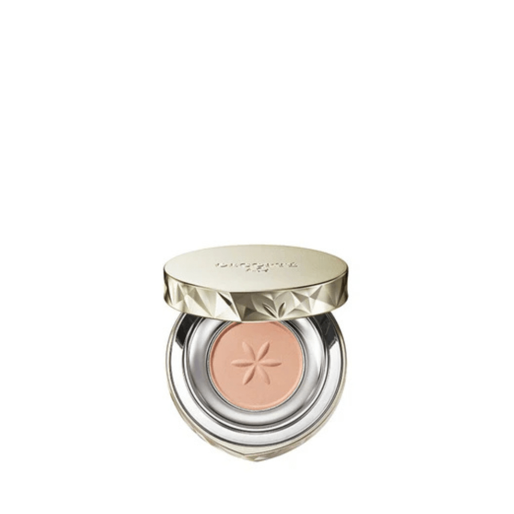 Decorté AQ Eye Shadow - Metro Singapore Departmental Store - Celebrating 69 Years in SG