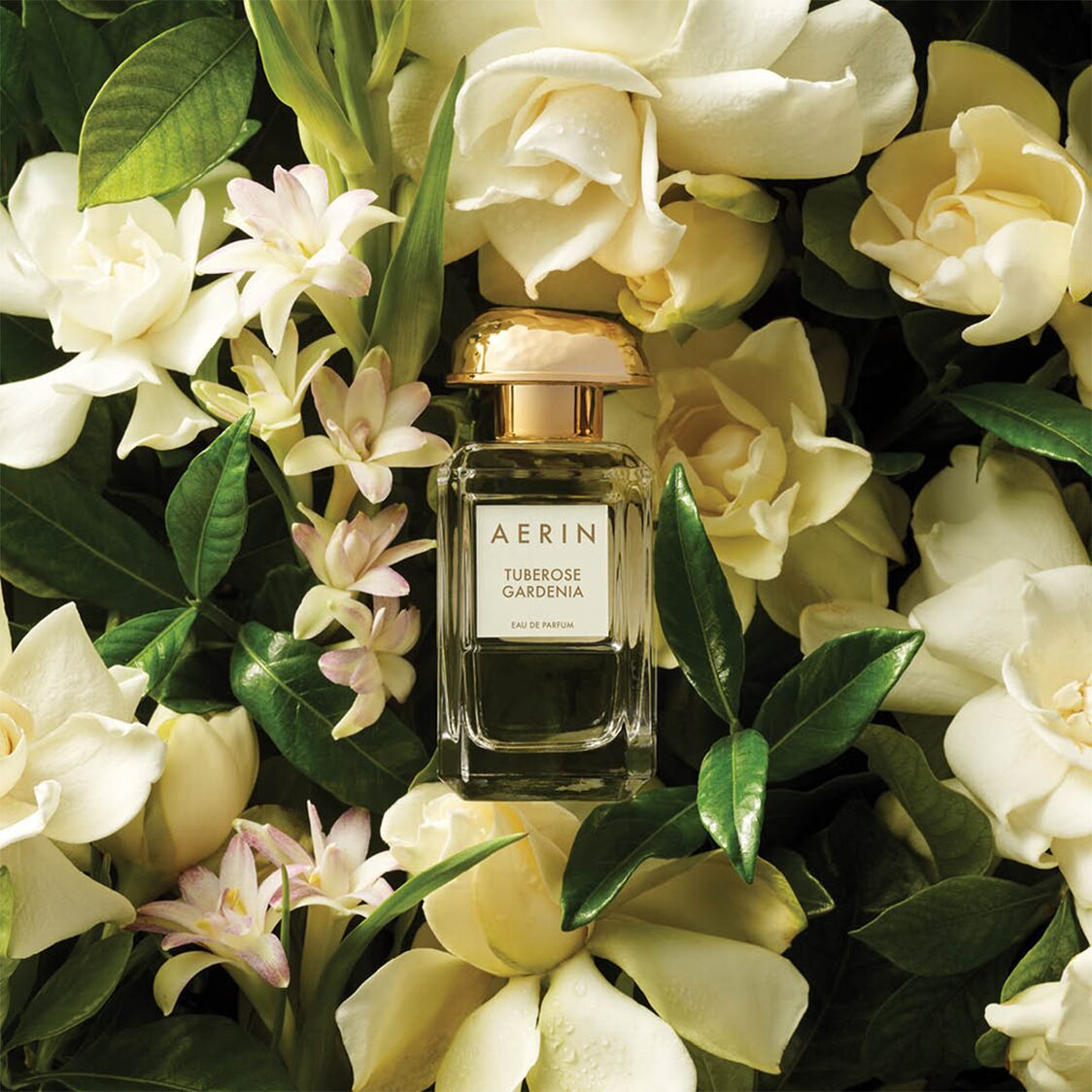 Estee Lauder Tuberose Gardenia Eau de Parfum Spray 50ml - Metro Singapore Departmental Store - Celebrating 69 Years in SG