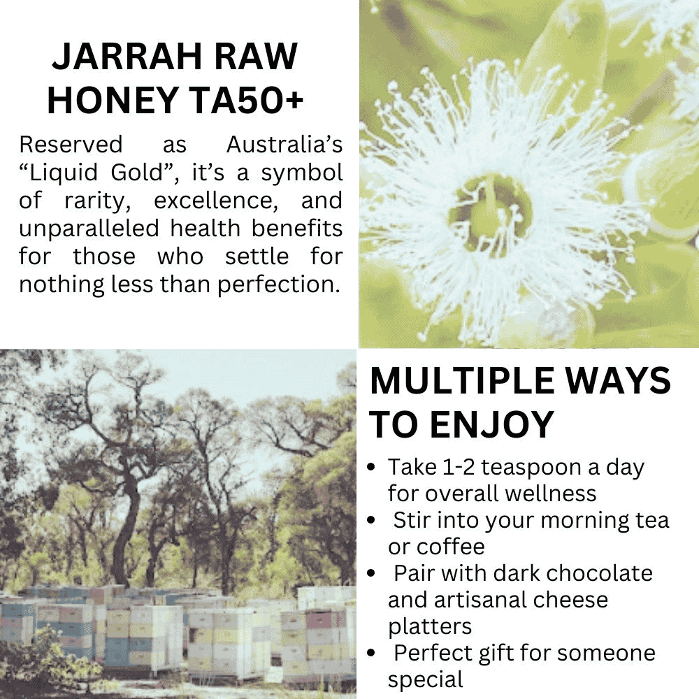 Hives Keeper Australian Jarrah Honey - Rare Harvest Active TA50+ 250g - Metro Singapore Departmental Store - Celebrating 69 Years in SG
