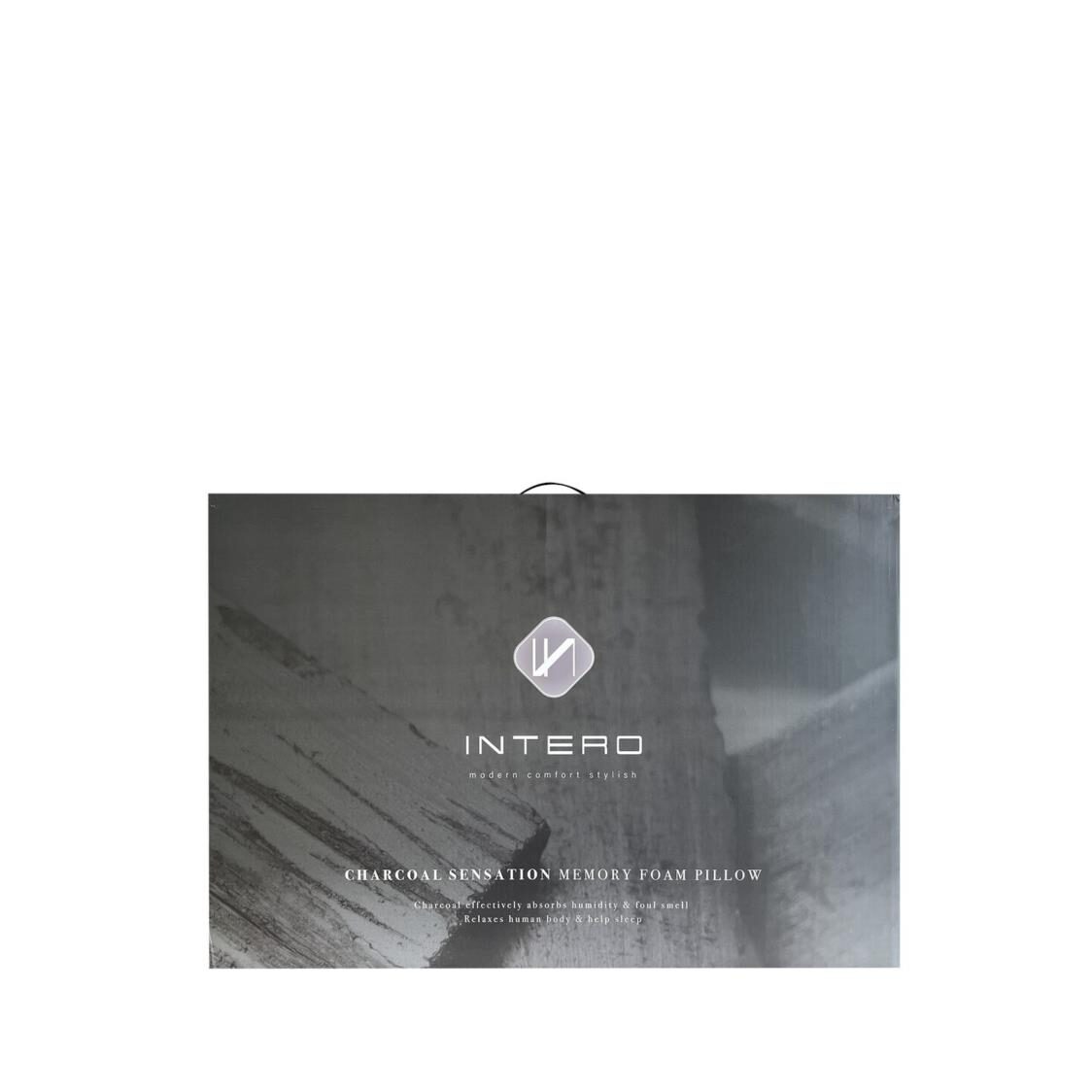 Intero Charcoal Sensation Memory Foam Pillow - Metro Singapore Departmental Store - Celebrating 69 Years in SG