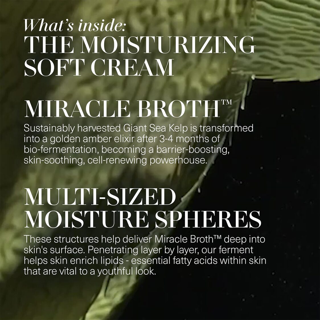 La Mer The Moisturizing Soft Cream Duet - Metro Singapore Departmental Store - Celebrating 69 Years in SG