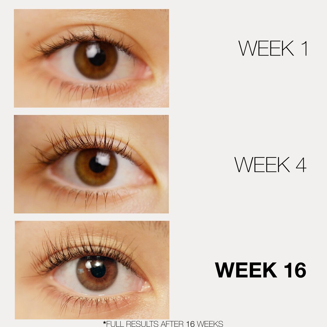 Lashfood Phyto - medic Eyelash Enhancing Serum 3ml - Metro Singapore Departmental Store - Celebrating 69 Years in SG