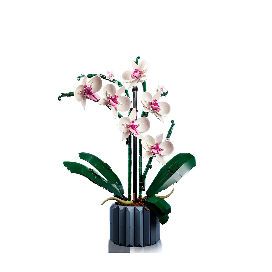 Lego Orchid 10311 - Metro Singapore Departmental Store - Celebrating 69 Years in SG